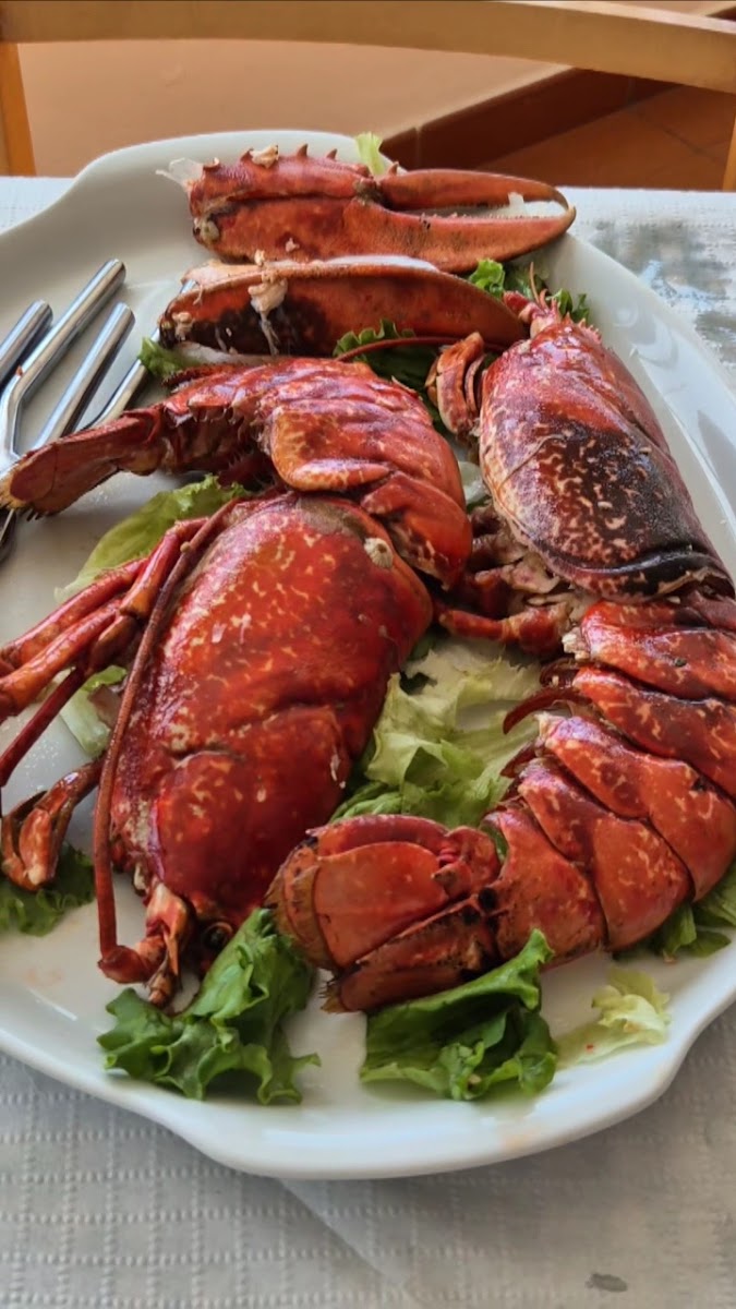 Marisquería Cetárea San Felipe-2