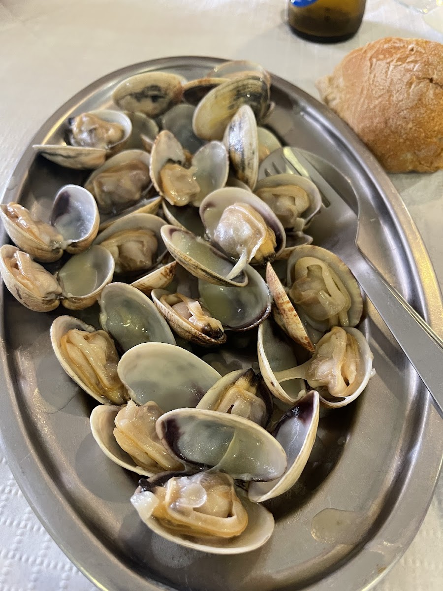 Marisquería Cetárea San Felipe-6